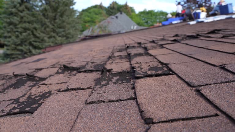 Best Roof Insulation Installation  in Peach Springs, AZ