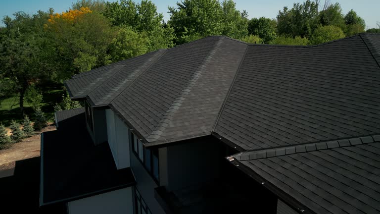 Best Roof Moss and Algae Removal  in Peach Springs, AZ